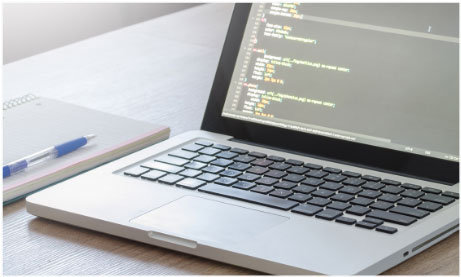 Custom web development